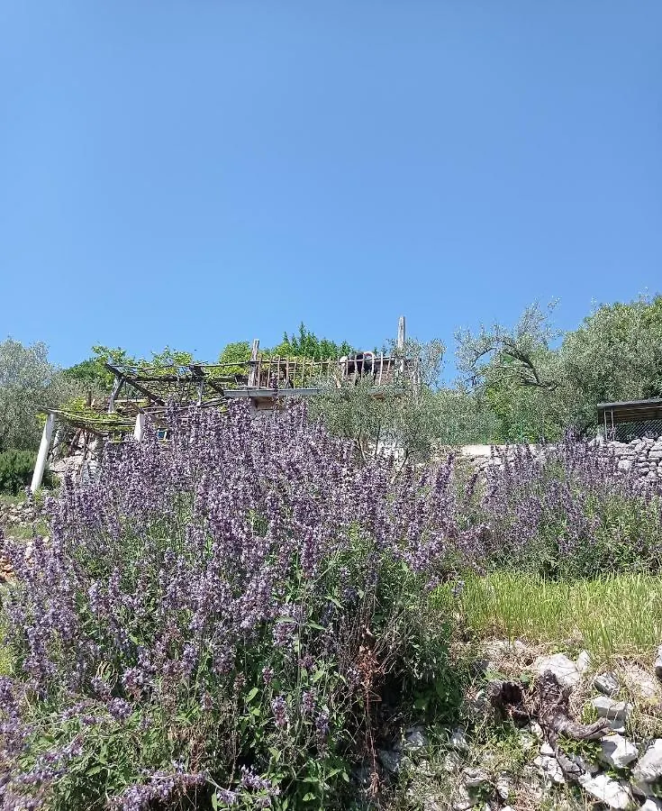 Casa Delle Olive Vila Mošćenička Draga Croácia