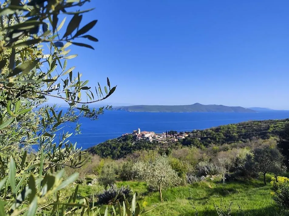 Holiday home Casa Delle Olive Villa Moscenicka Draga
