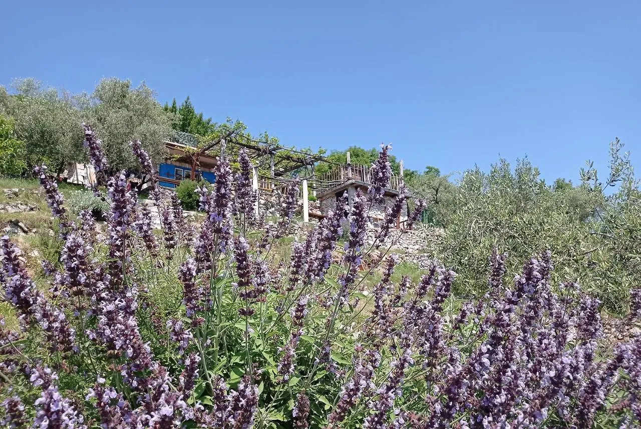 Villa Casa Delle Olive Mošćenička Draga 0*,  Kroatien