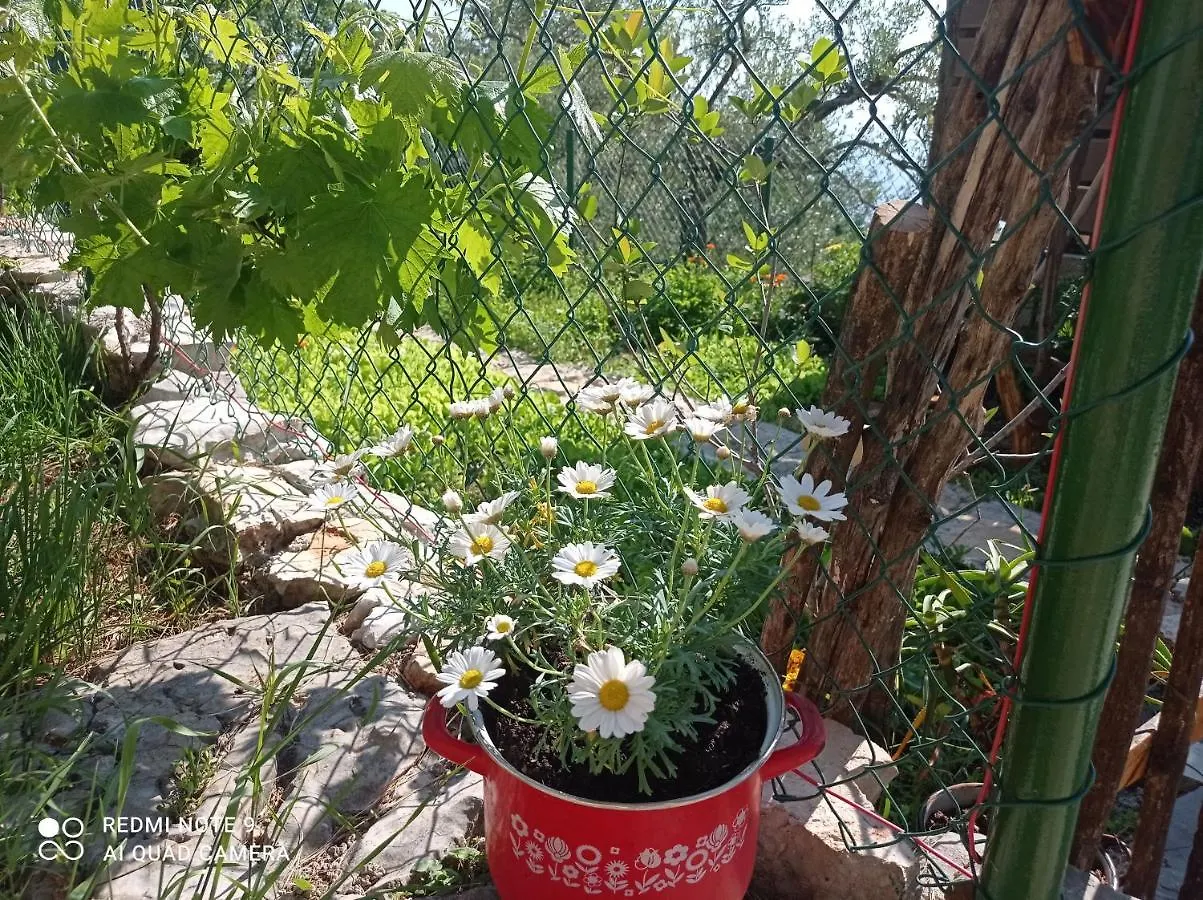 Villa Casa Delle Olive Mošćenička Draga